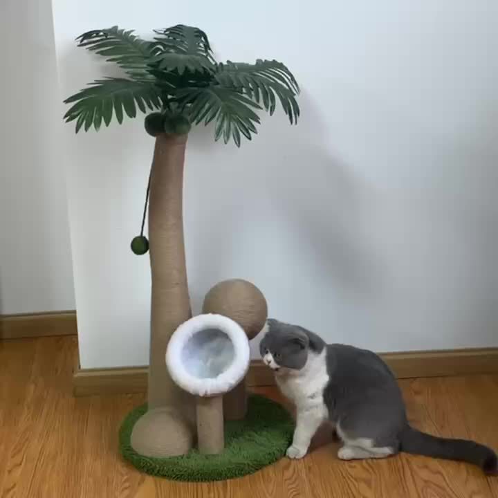 Poste Rascador para Gato en Forma de Árbol de Coco con Juguete de Pelota