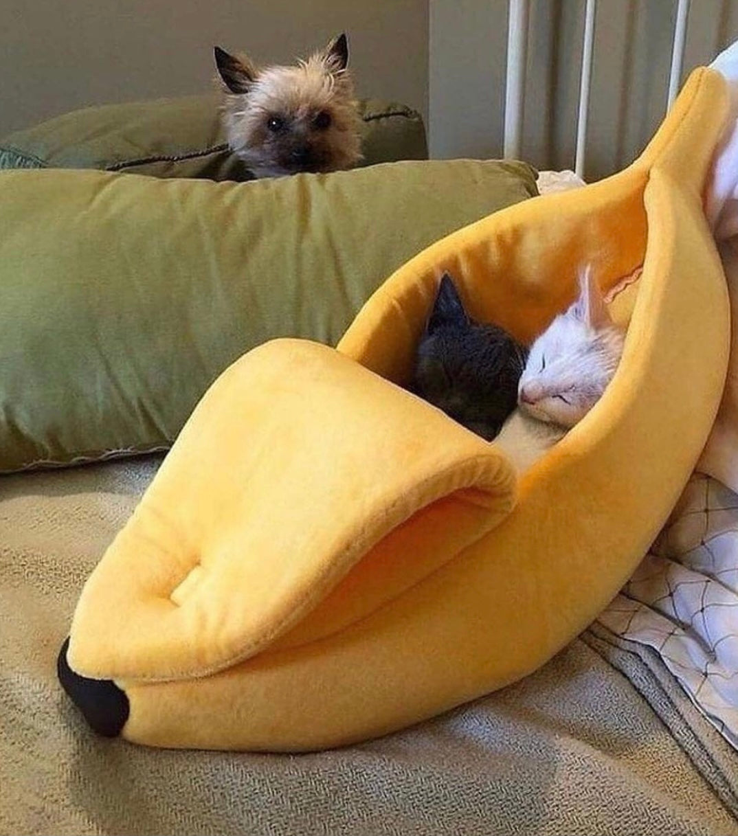 Cama Banana Adorable para Gato