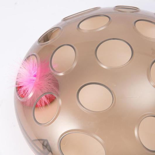 Juguete Magnético Interactivo para Gato