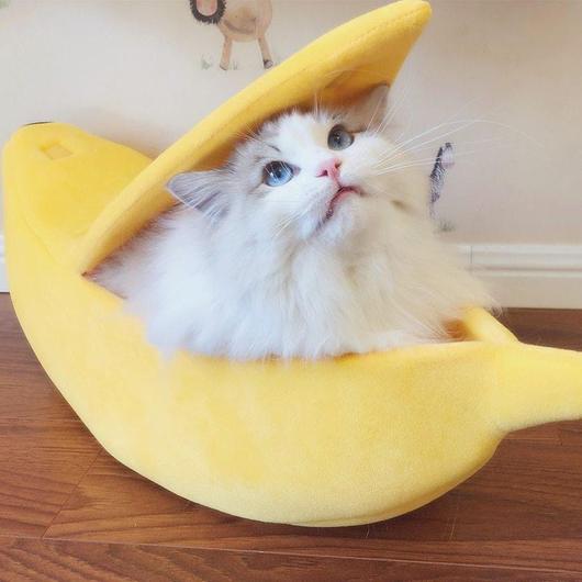 Cama Banana Adorable para Gato